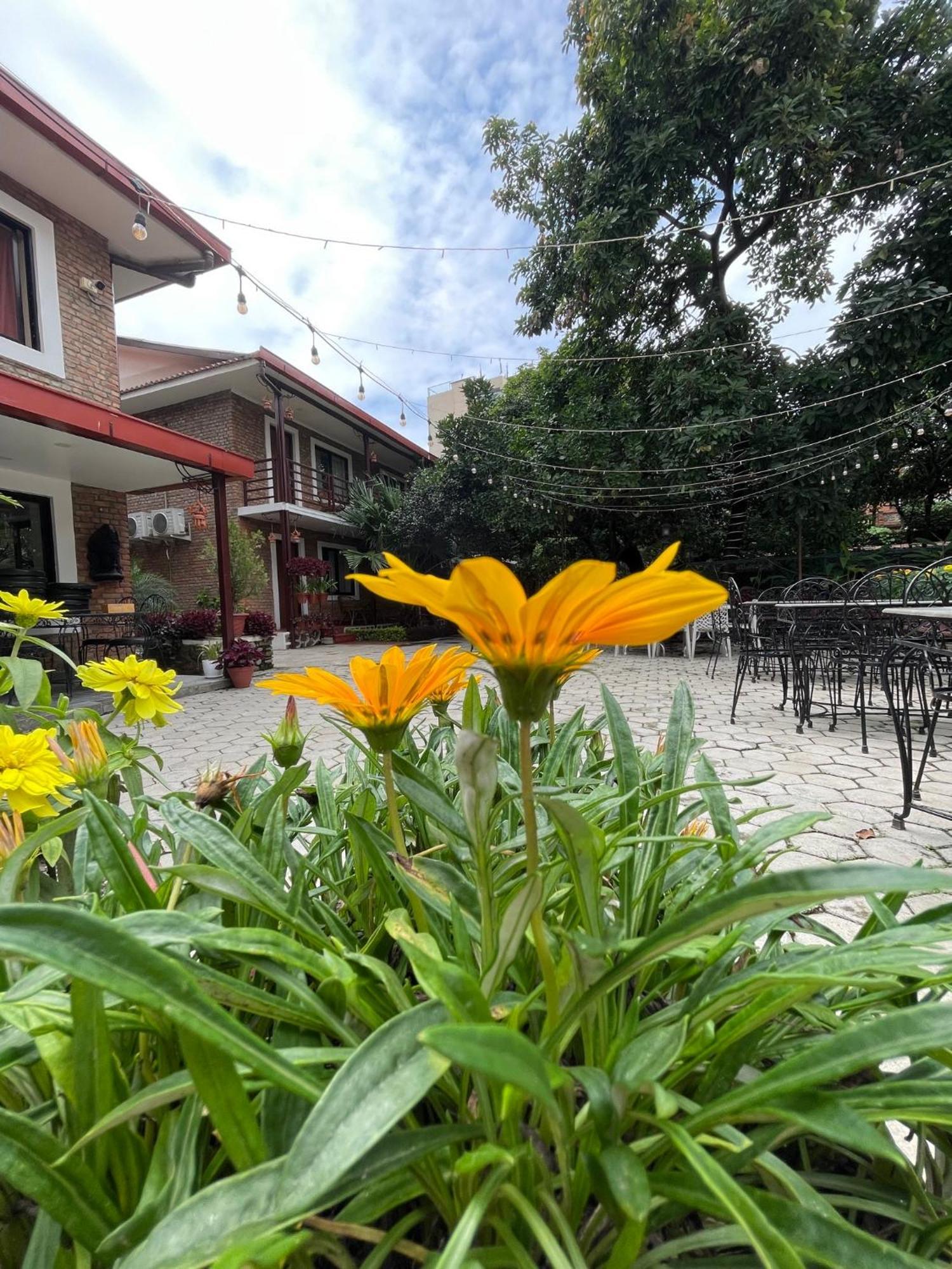 Nepal Cottage Resort 카트만두 외부 사진